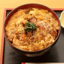 oyakodon carne verduras arroz japonés